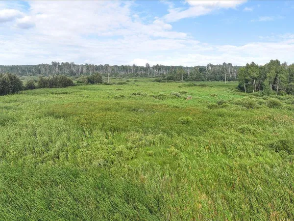 $80,000 | Tbd Bunny Hill Road, Sebeka, MN 56477