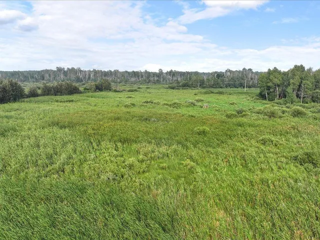 $80,000 | Tbd Bunny Hill Road, Sebeka, MN 56477