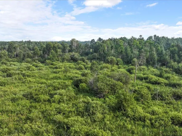 $80,000 | Tbd Bunny Hill Road, Sebeka, MN 56477