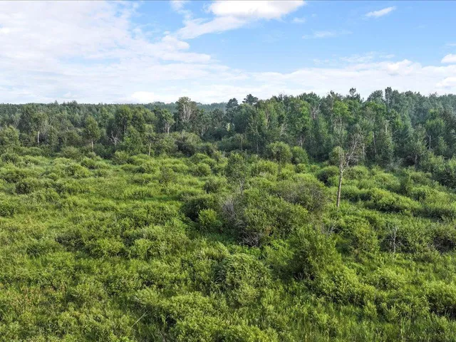 $80,000 | Tbd Bunny Hill Road, Sebeka, MN 56477