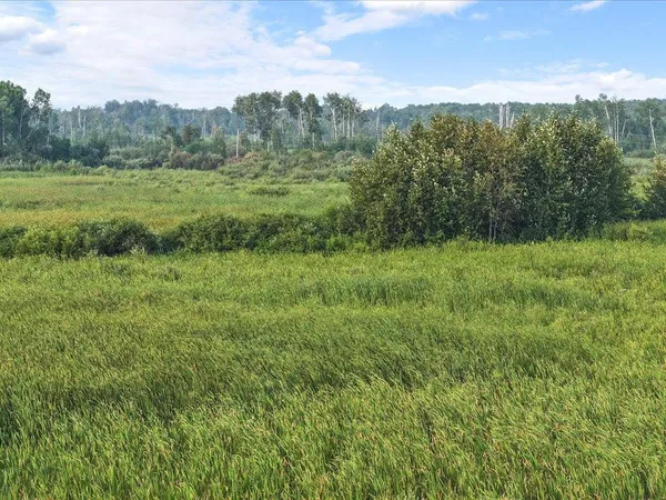 $80,000 | Tbd Bunny Hill Road, Sebeka, MN 56477
