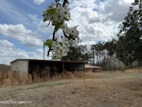 $160,000 | 2384 Highway 51, Winona, MS 38967