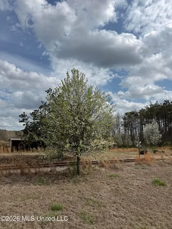 $160,000 | 2384 Highway 51, Winona, MS 38967