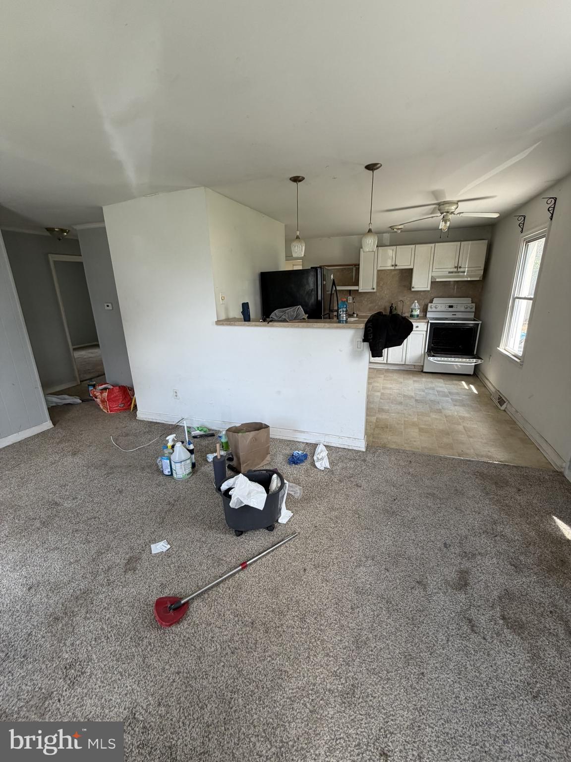 38 Hilldale Road Dover, DE 19901 - Photo 2 of 13 Living Room being Cleaned