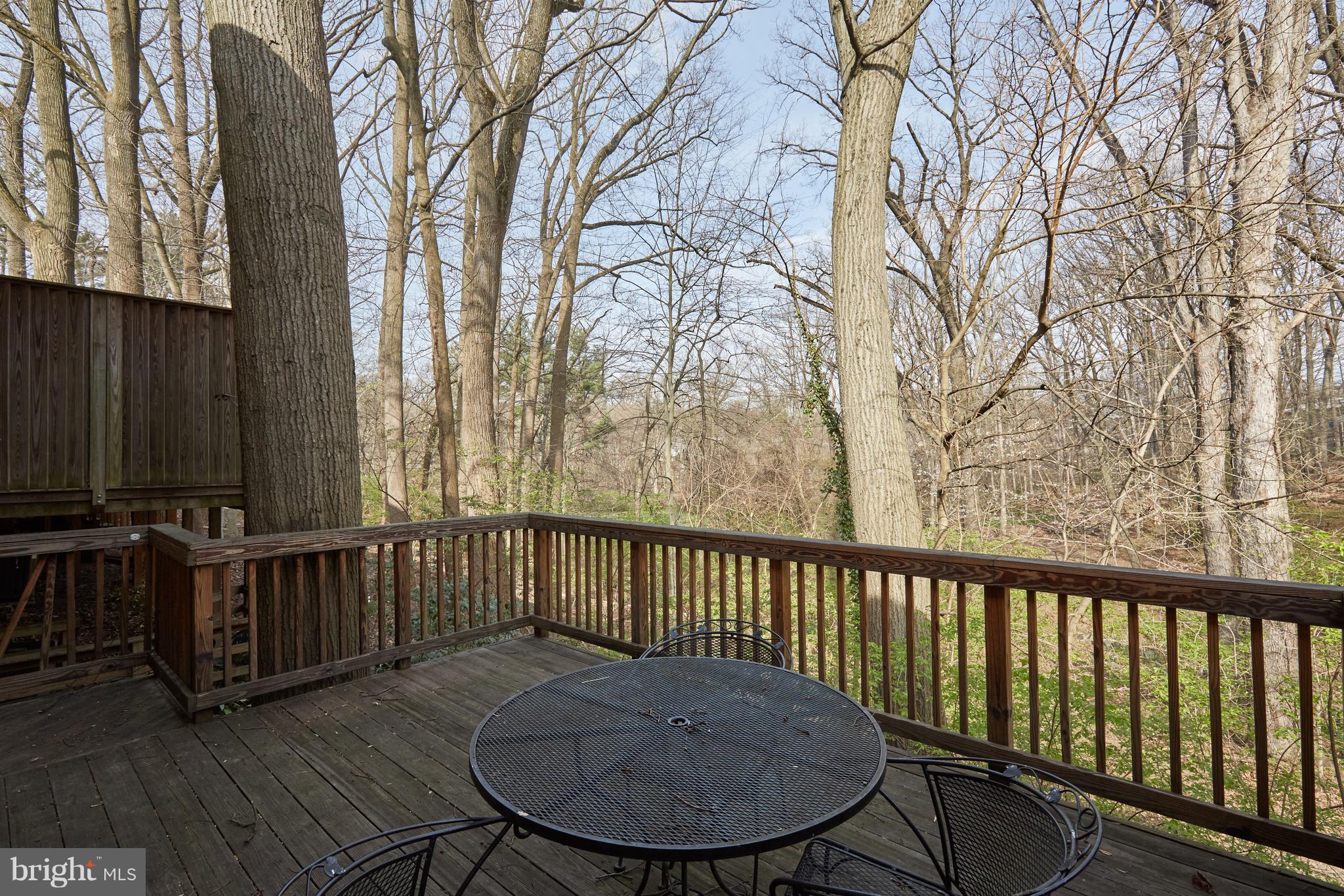 8526 Bradford Road, Unit 47 Silver Spring, MD 20901 - Photo 26 of 31