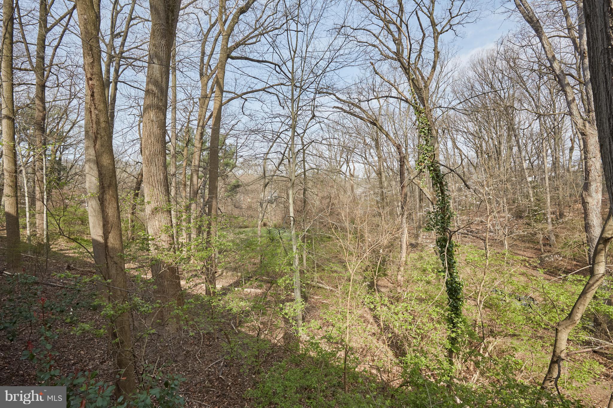 8526 Bradford Road, Unit 47 Silver Spring, MD 20901 - Photo 27 of 31