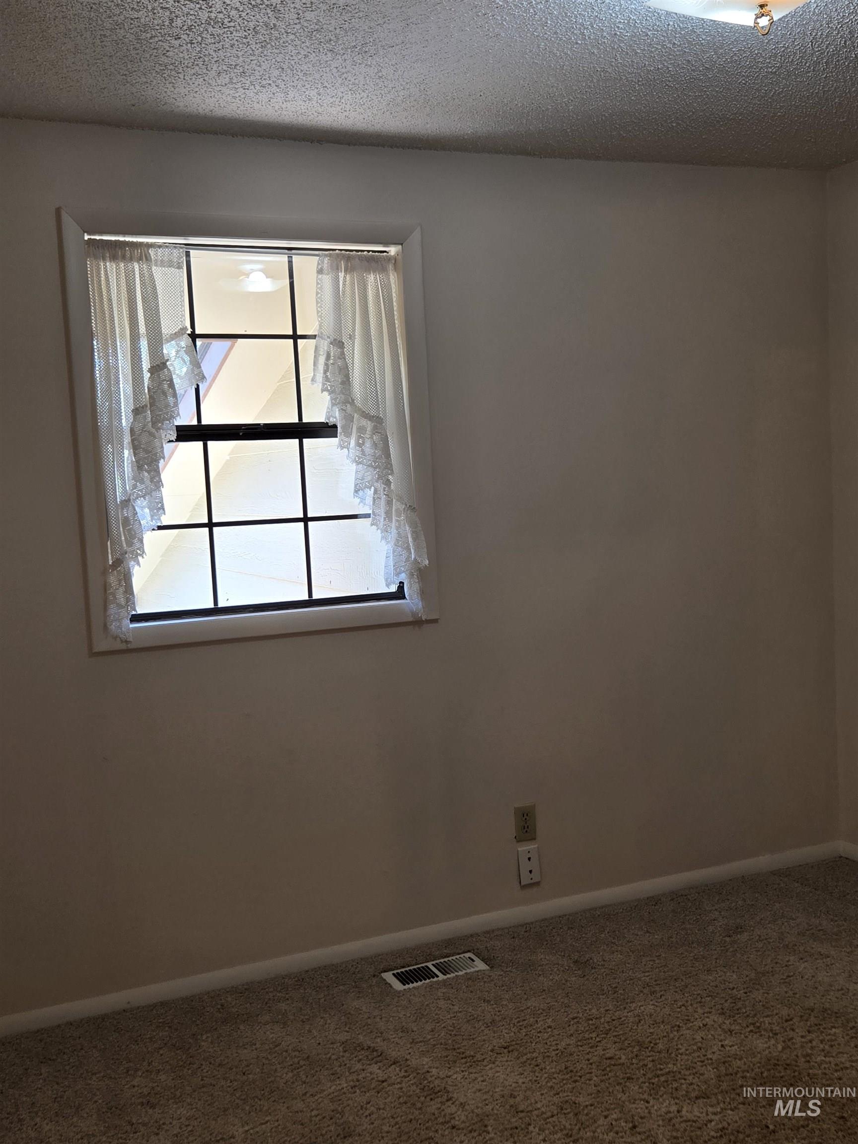 12050 West Hidden Valley Rim Road Boise, ID 83709 - Photo 16 of 39 Carpeted room featuring a window with grid inserts, baseboard trim, and a ceiling-mounted light fixture