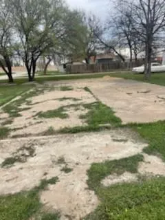 a view of a yard with a trees