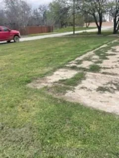 a view of a field of grass and trees