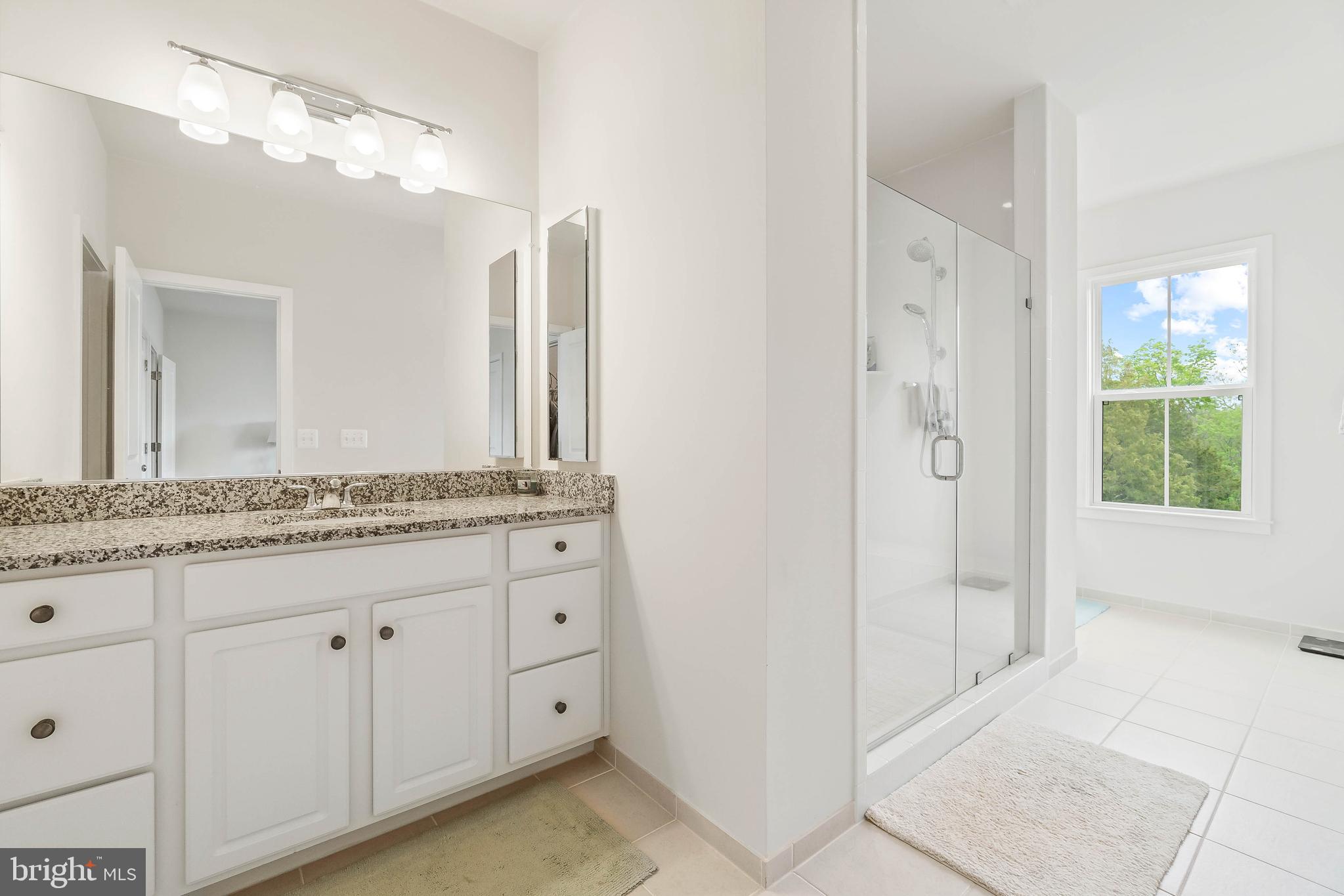 23110 Sullivans Cove Square Brambleton, VA 20148 - Photo 18 of 41 Master bathroom w/double vanities & shower