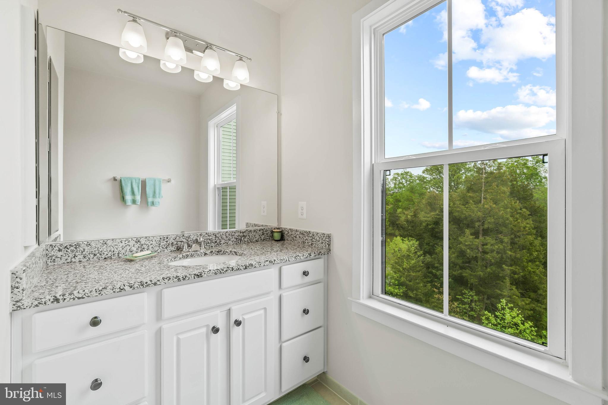 23110 Sullivans Cove Square Brambleton, VA 20148 - Photo 19 of 41 Master bathroom w/double vanity