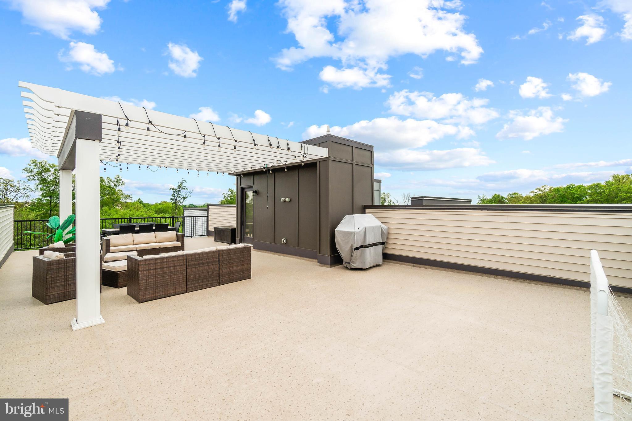 23110 Sullivans Cove Square Brambleton, VA 20148 - Photo 29 of 41 Roof top terrace