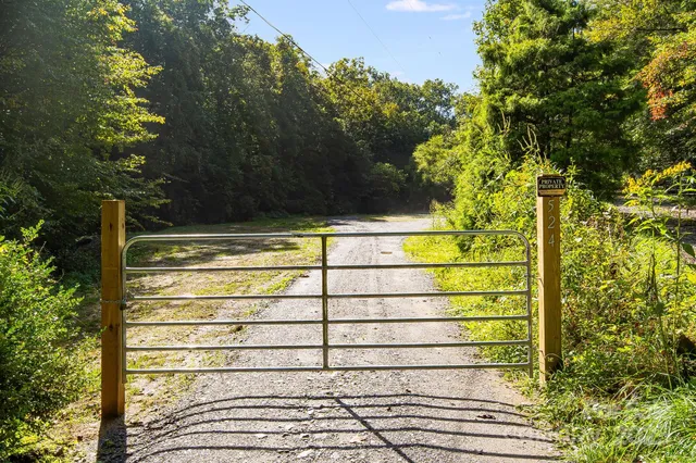 a view of a yard with a tree