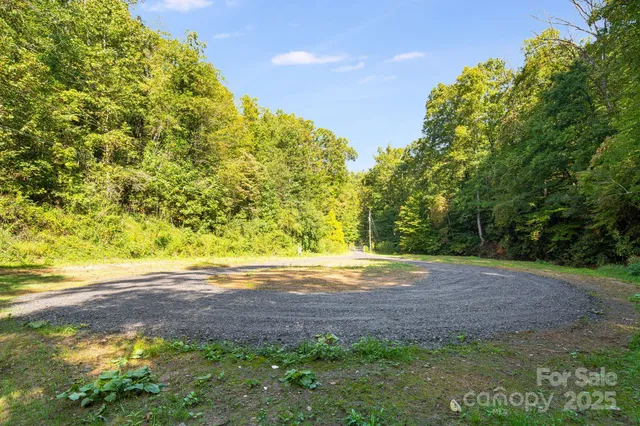 a view of a yard with trees