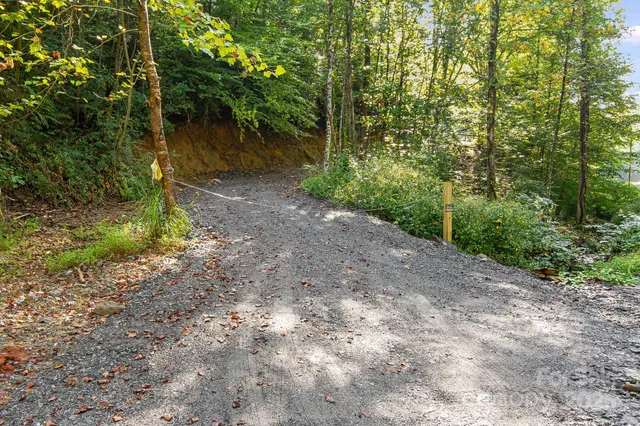 a view of a plants with yard