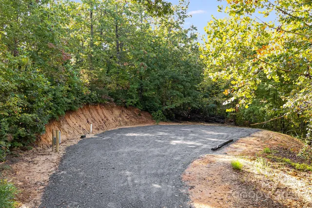 a backyard of a house with large trees and plants