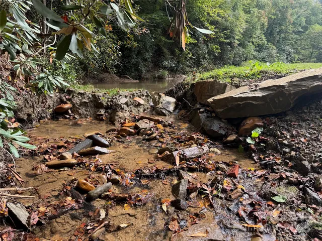 a view of a lush green field