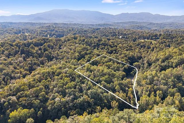 a view of a yard with a trees