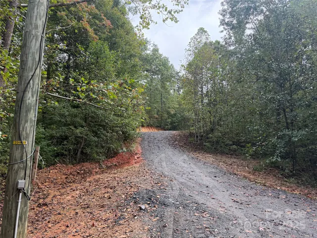 a view of a tree with a yard