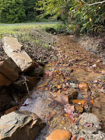 a view of a garden with a plant
