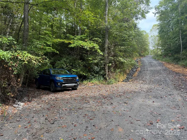 a view of a couches under a tree