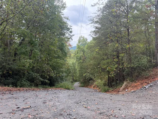 a view of a dirt road with trees in the background