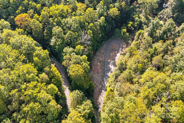 a view of a garden with plants