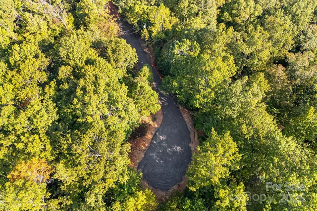 a view of a pathway both side of yard
