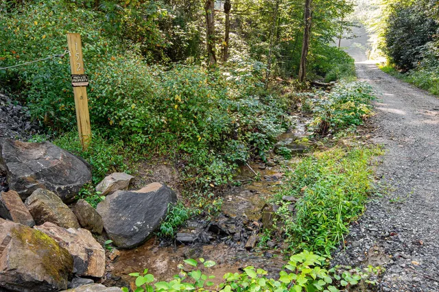 a view of a garden with plants