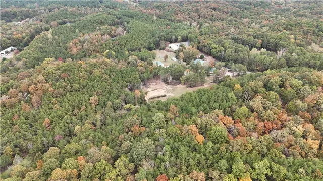 a view of a bunch of trees and bushes