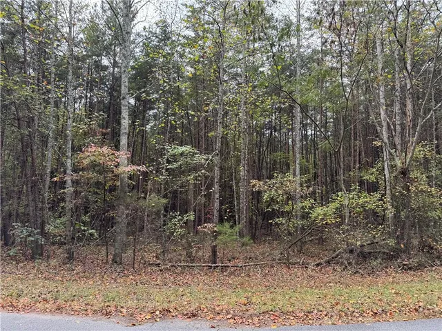 $175,000 | 0 Cagle Road Southeast, Fairmount, GA 30139