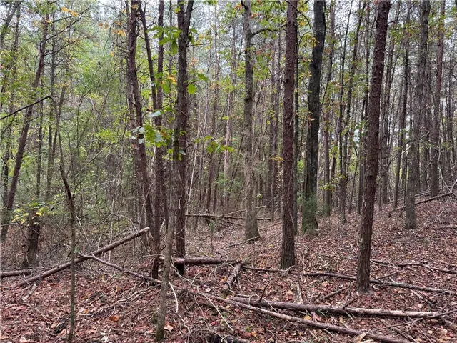 $175,000 | 0 Cagle Road Southeast, Fairmount, GA 30139