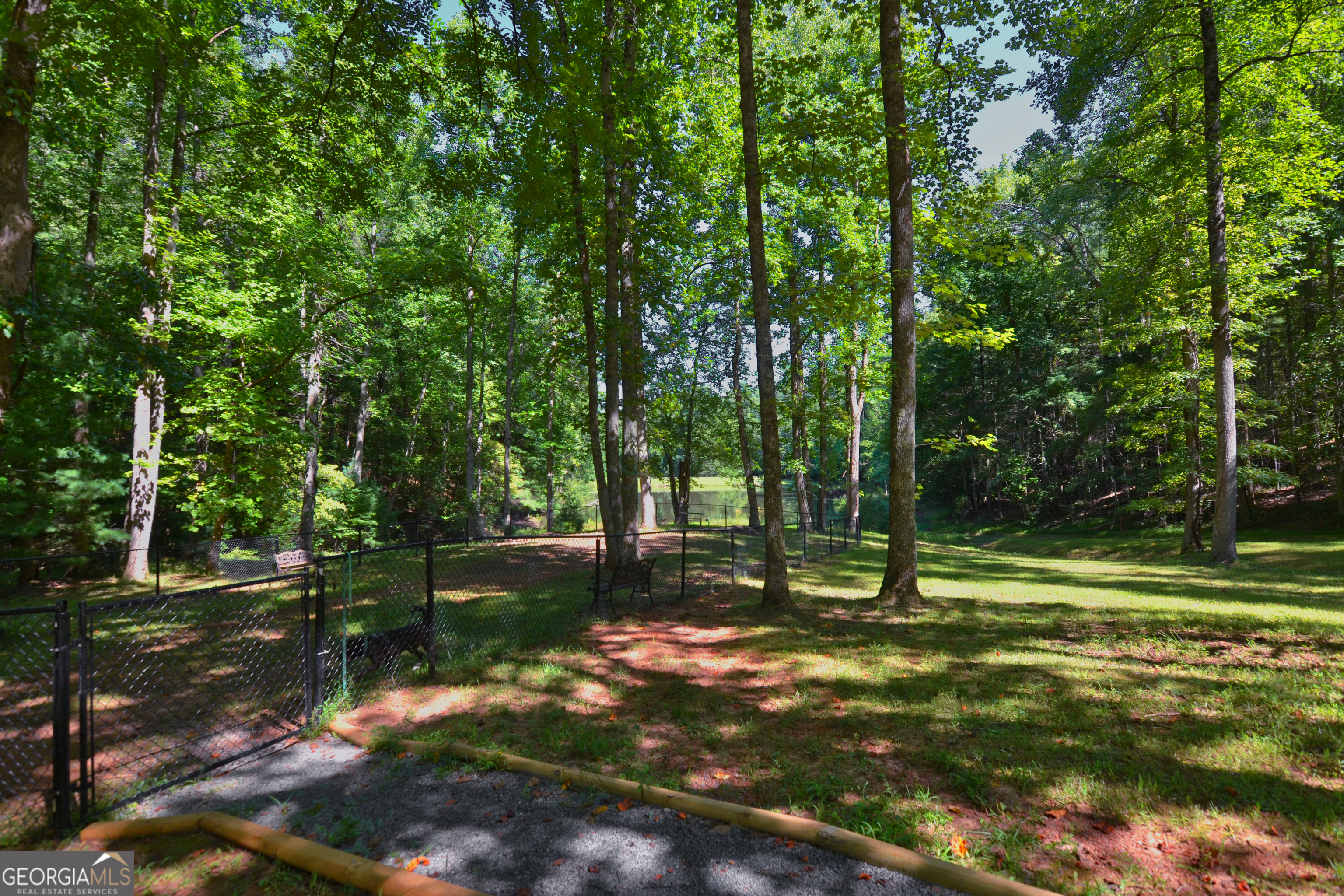 241 Walnut Mountain Road Ellijay, GA 30536 - Photo 45 of 56