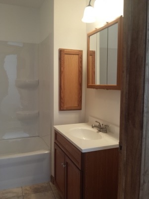 111 West Devlin Street Spring Valley, IL 61362 - Photo 14 of 17