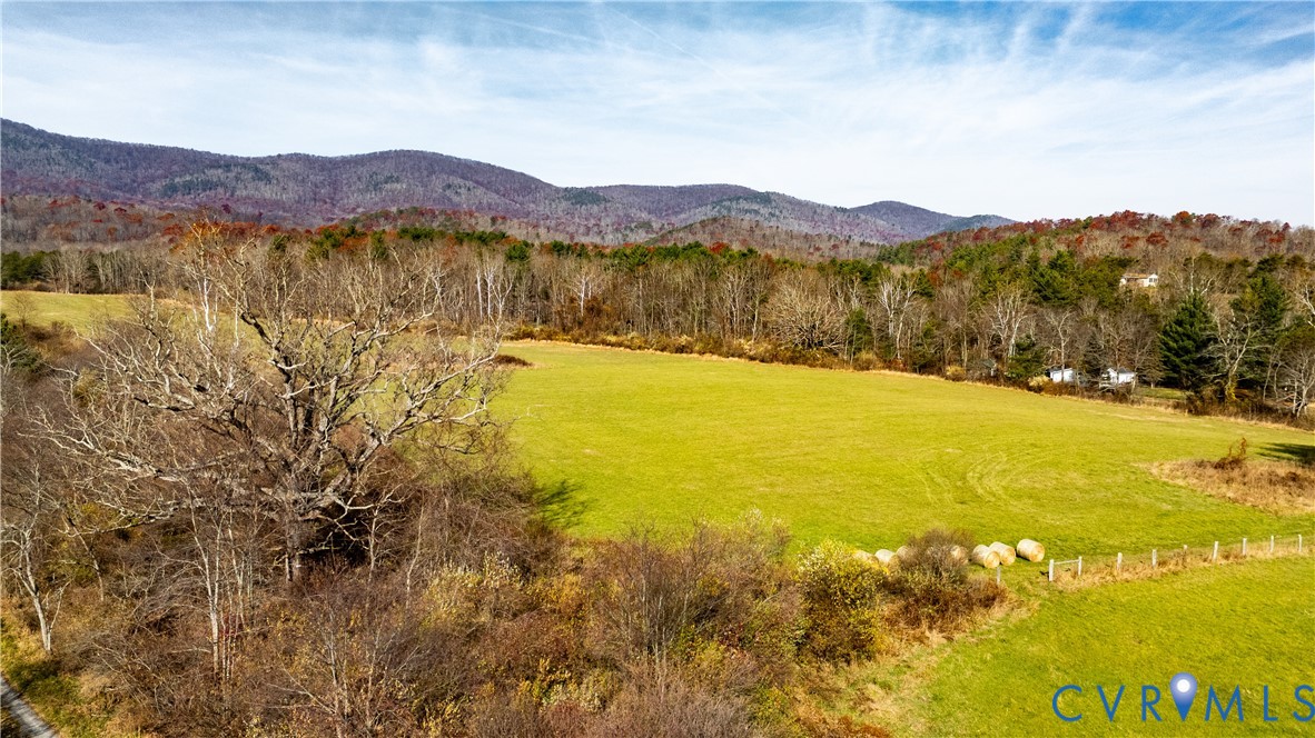 12322 Jackson River Road Monterey, VA 24465 - Photo 21 of 22 Expansive green pastures framed by mature trees an