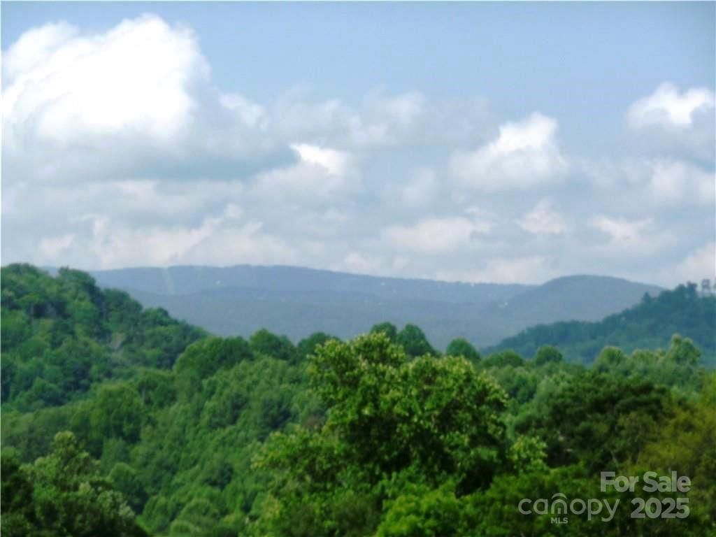0 Joe Shoemaker Road Vilas, NC 28692 - Photo 19 of 21