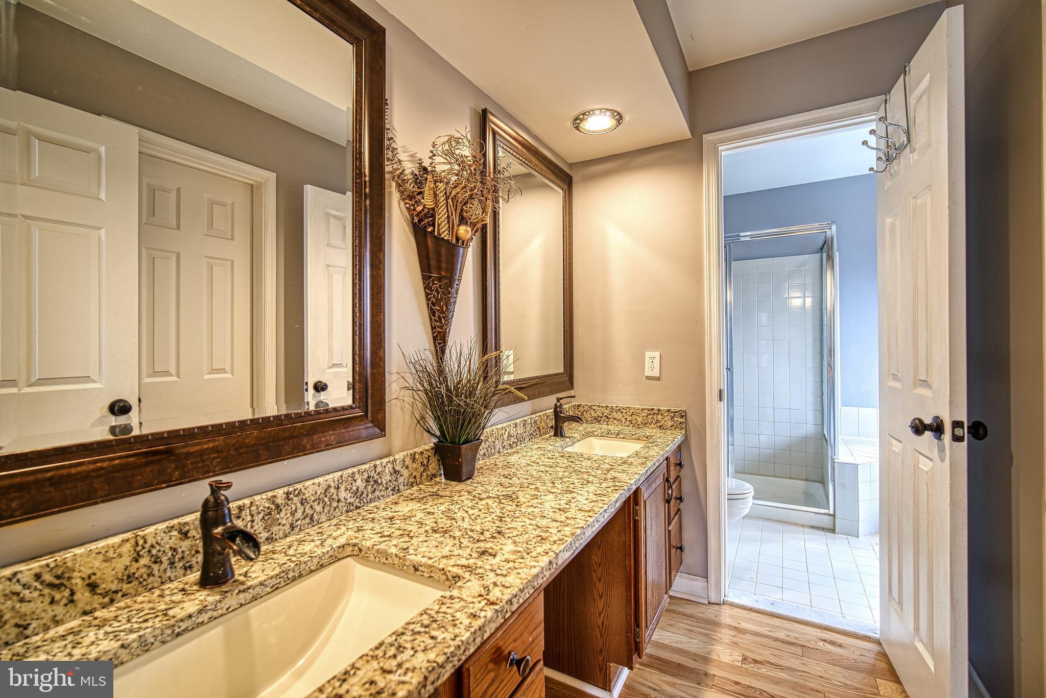 14539 Cutstone Way Silver Spring, MD 20905 - Photo 20 of 34 Master Bath: Sink vanity conveniently outside bath