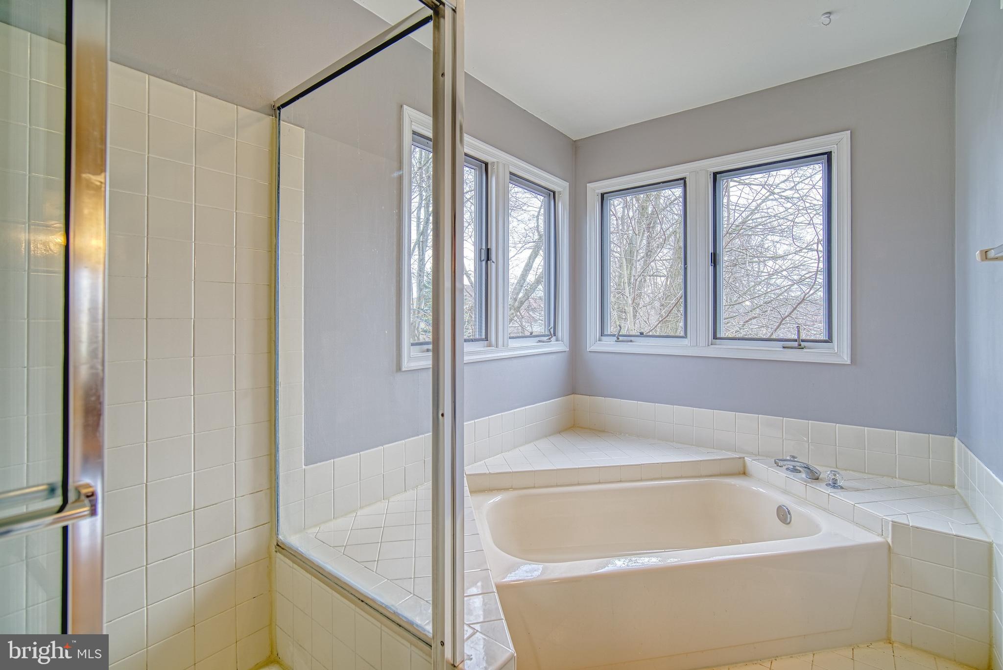14539 Cutstone Way Silver Spring, MD 20905 - Photo 21 of 34 White, clean & bright -- soaker & shower!