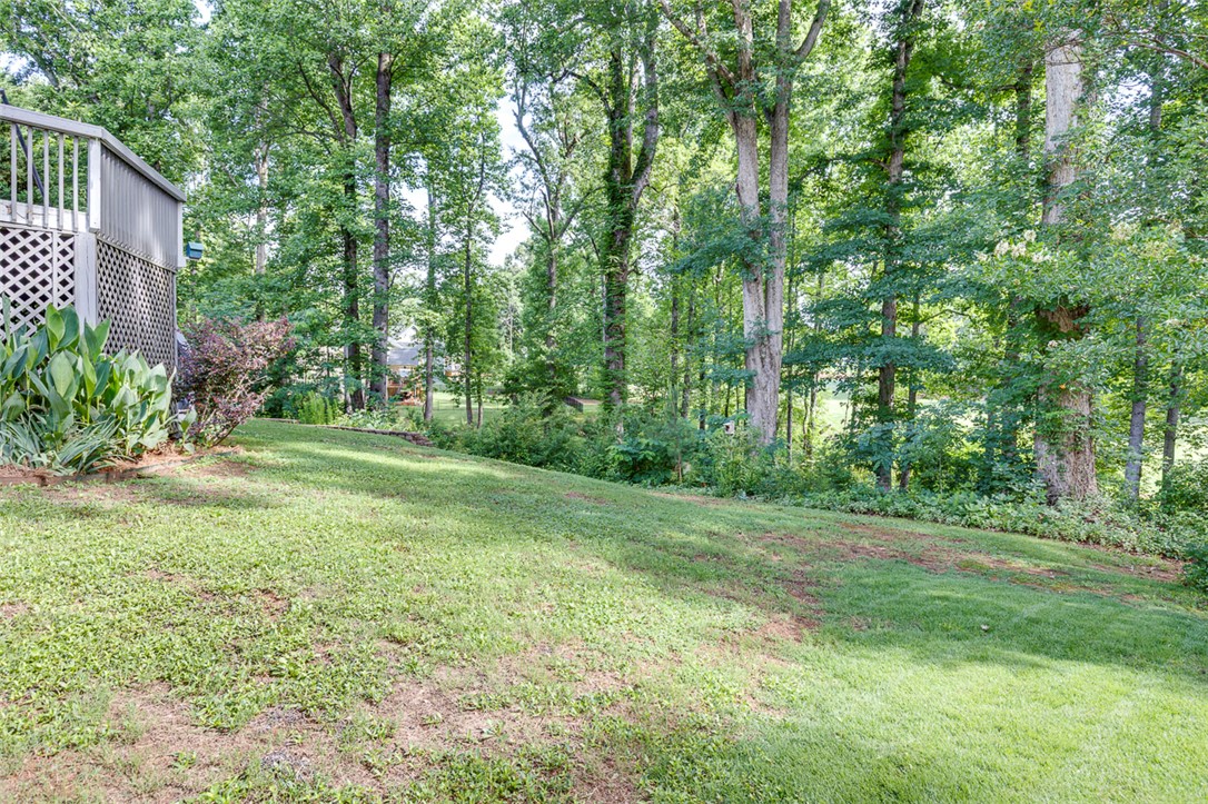 103 Wildcat Cliffs Road Anderson, SC 29621 - Photo 48 of 50