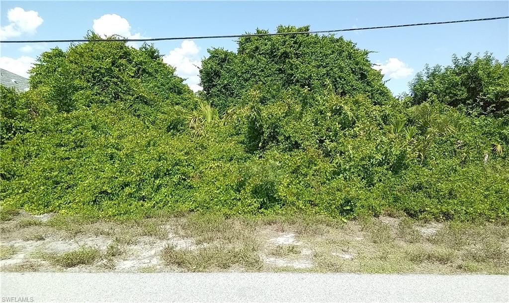 a view of a yard