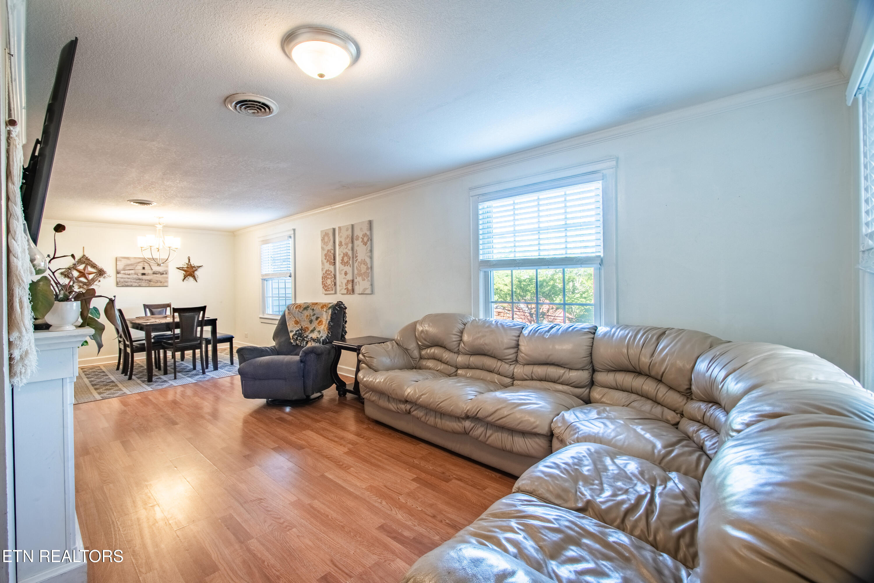 4220 Reed Road Louisville, TN 37777 - Photo 4 of 20 DSC06669-HDR