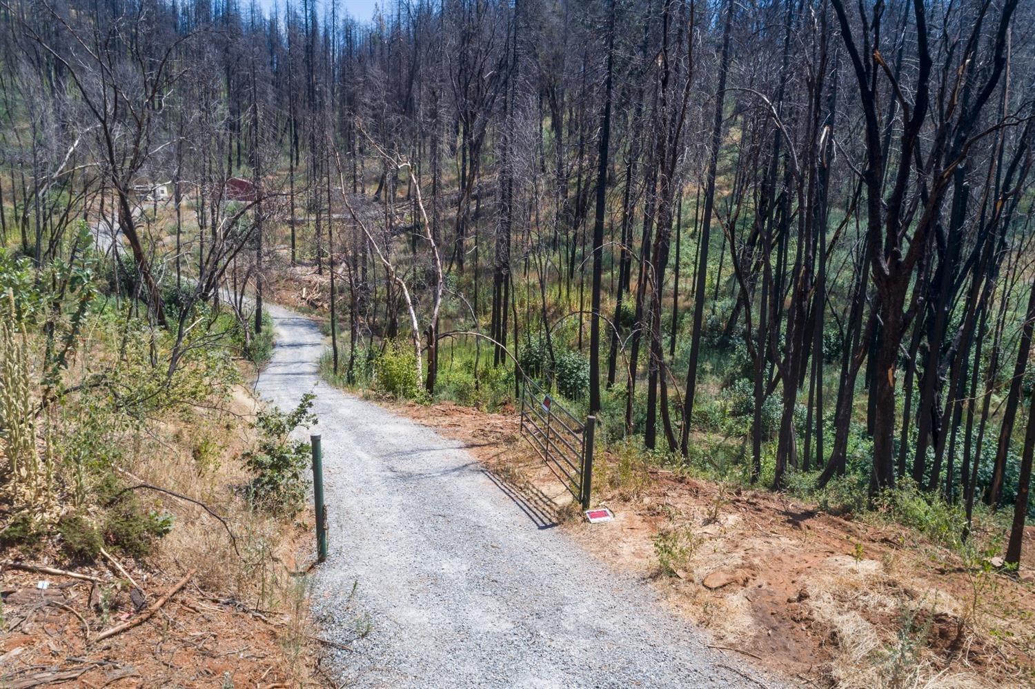 17450 Jesus Maria Road Mokelumne Hill, CA 95245 - Photo 3 of 18