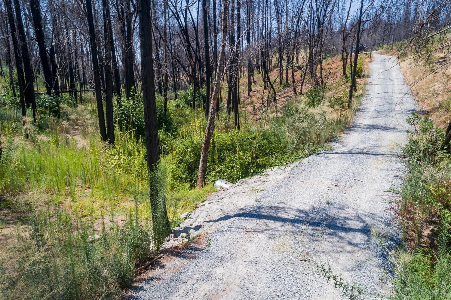 17450 Jesus Maria Road Mokelumne Hill, CA 95245 - Photo 4 of 18