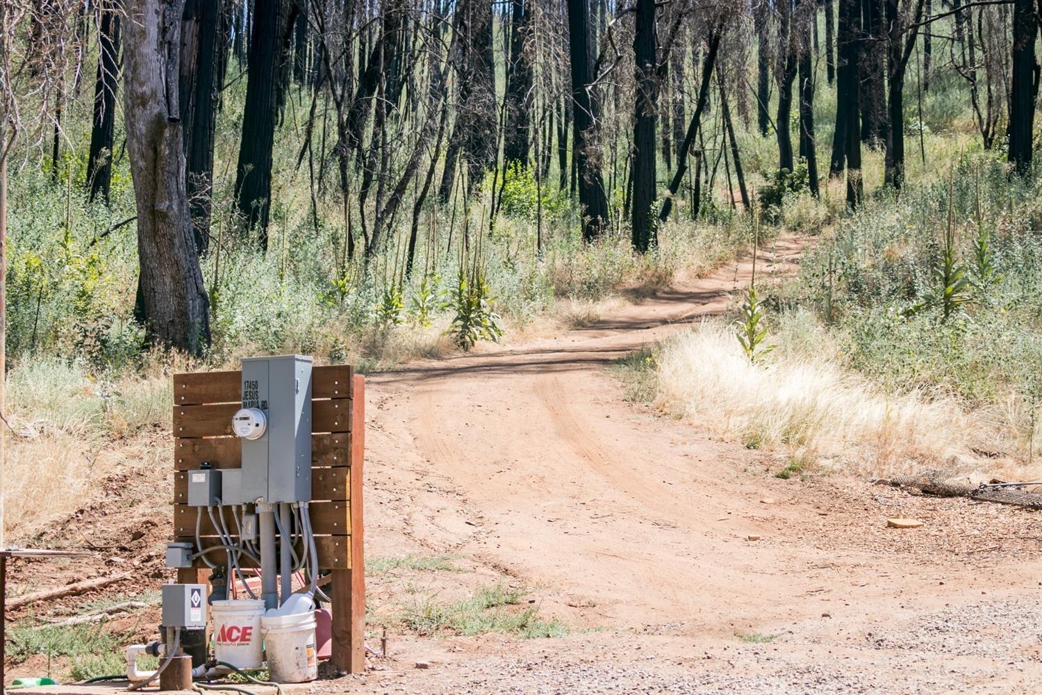 17450 Jesus Maria Road Mokelumne Hill, CA 95245 - Photo 8 of 18