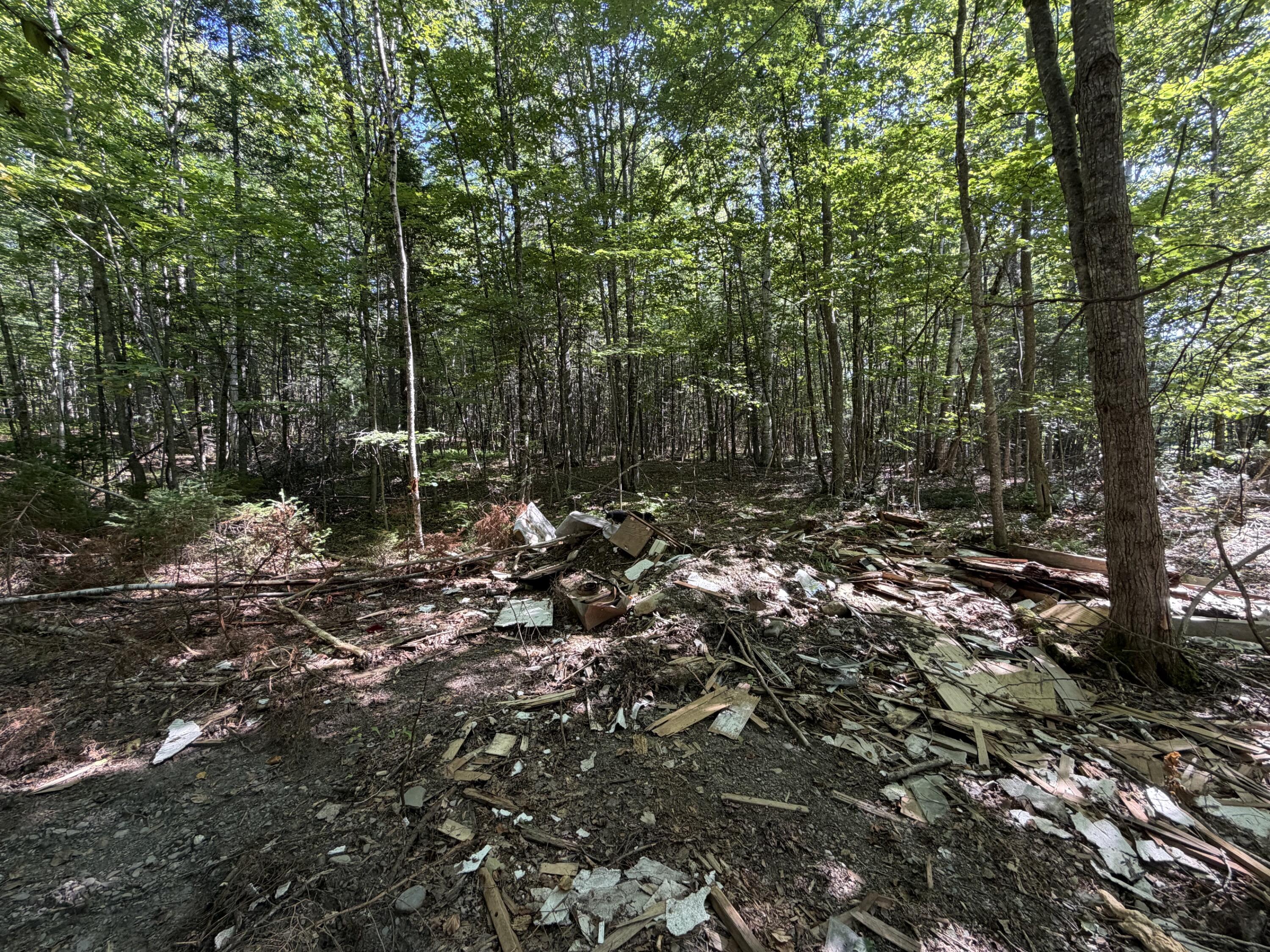 9 Map Road Garland, ME 04939 - Photo 5 of 8 IMG_4181