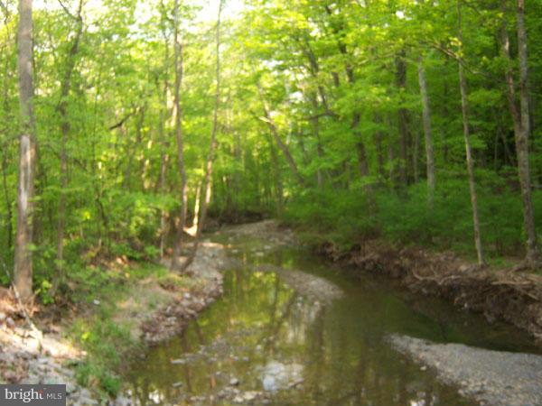 3000 Mesner Road Berkeley Springs, WV 25411 - Photo 13 of 17 Sleepy Creek