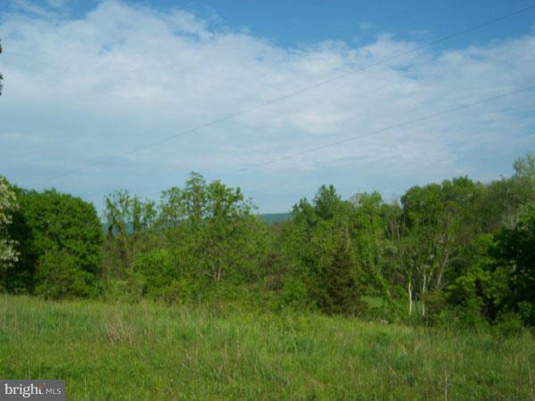 3000 Mesner Road Berkeley Springs, WV 25411 - Photo 3 of 17 Exterior (General)