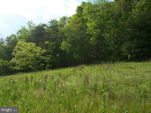 3000 Mesner Road Berkeley Springs, WV 25411 - Photo 4 of 17 Exterior (General)