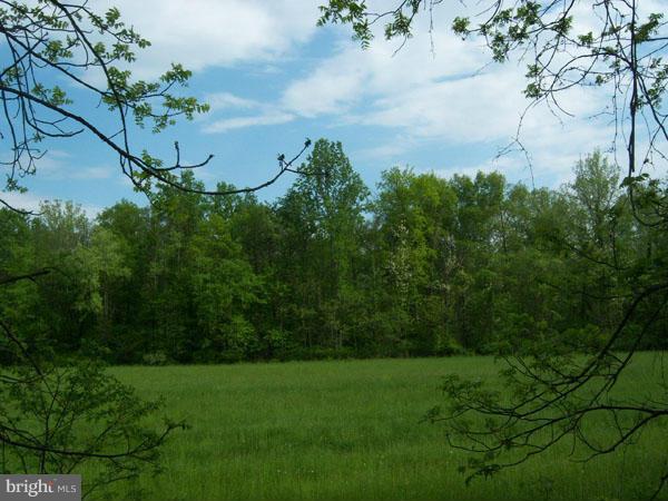 3000 Mesner Road Berkeley Springs, WV 25411 - Photo 5 of 17 Exterior (General)