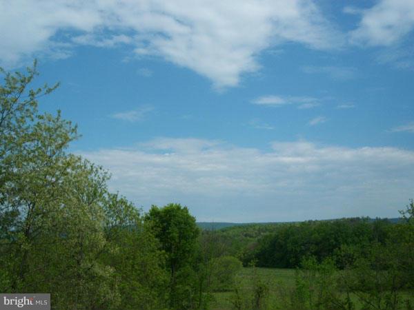 3000 Mesner Road Berkeley Springs, WV 25411 - Photo 6 of 17 View